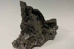 W74 erakusketa berrira doako bisita gidatuak